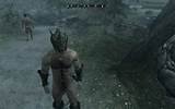 The guys in Skyrim can be soo hairy! Look a nude passerby!