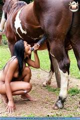 How Give Horse Blowjob Sex Bestiality Gallery