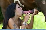 horse blowjob vids