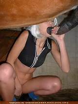 dog cock musket giving horse a blowjob girls having sex animals horse ...